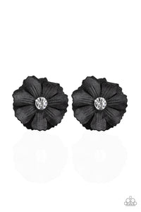 Candid Carnations - Black