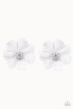 Load image into Gallery viewer, Candid Carnations - White