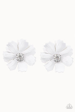 Candid Carnations - White