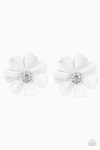 Candid Carnations - White
