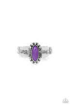 Load image into Gallery viewer, Zest Quest - Purple - Sparkle A Little Brighter